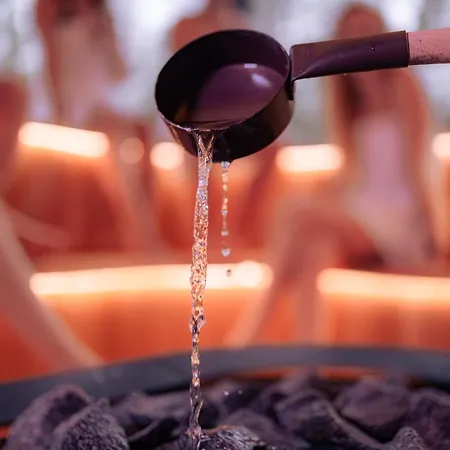 Aurora Igloo, Sauna Spa & Dinner By Invisible Forest Lodge Adults Only-3