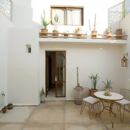 Riad Rahal-2
