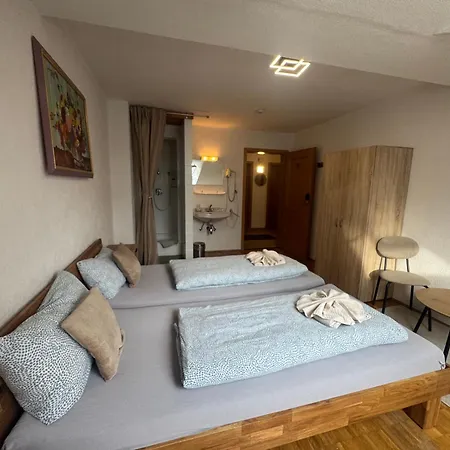 Alpen Hotel Martin-2