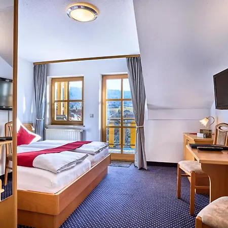 Das Arber-Hotel am Rothbach-3