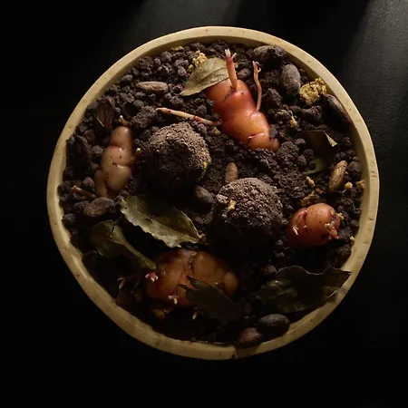 Hotel Rothaus Luzern&Peruvian Culinary Art-2