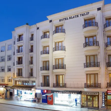 Weingart Black Tulip Hotel-2
