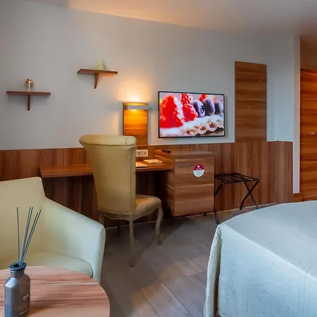 Arthotel ANA Astor-2