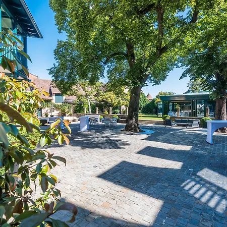 Deidesheimer Hof-3