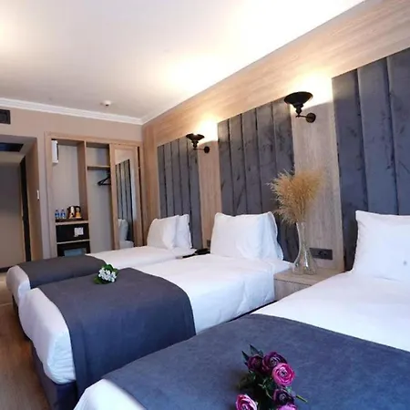Mineo Hotel Taksim-3