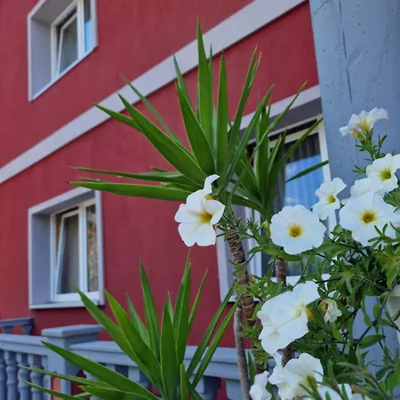 Pension Pale' Bach-3