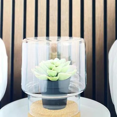 Hotel Plantage-2