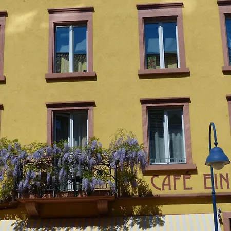 Apartments Im Cafe Einstein-2