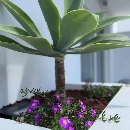 Urban Spaces Ibiza-2
