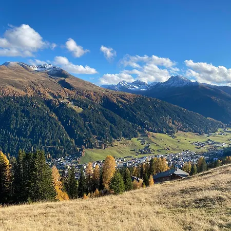 Shima-Davos-2
