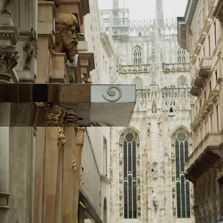 Sina The Gray-2