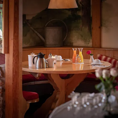Hotel&Restaurant Grüner Baum - Die Grüne Oase Am Feldberg-2