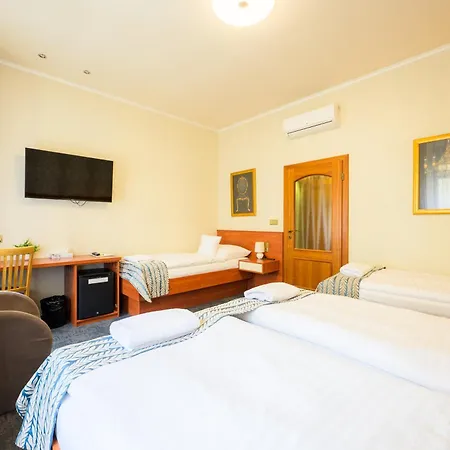 Hotel Roudna-3