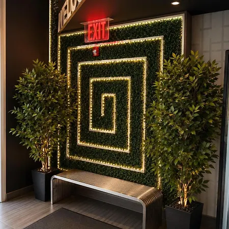 Hotel Moca Nyc-3