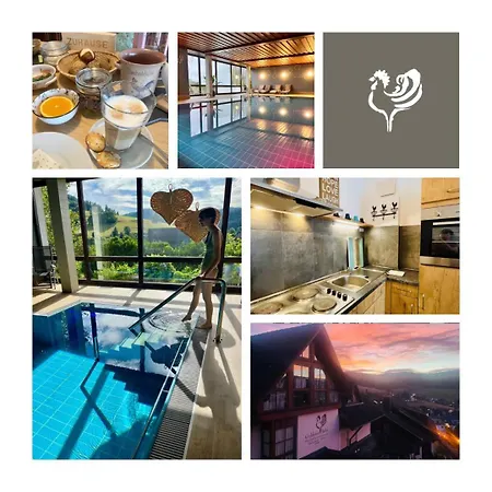 B&B Apart Hotel Goldener Hahn - Hygge Pool&Sauna-2