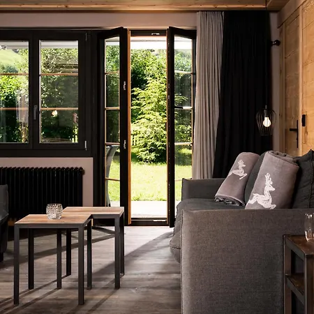 Hotel Arc-En-Ciel Gstaad-3