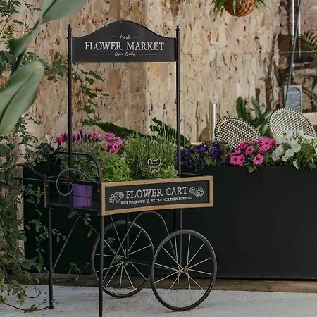 La Franca Hotel Boutique (Adults Only)-2