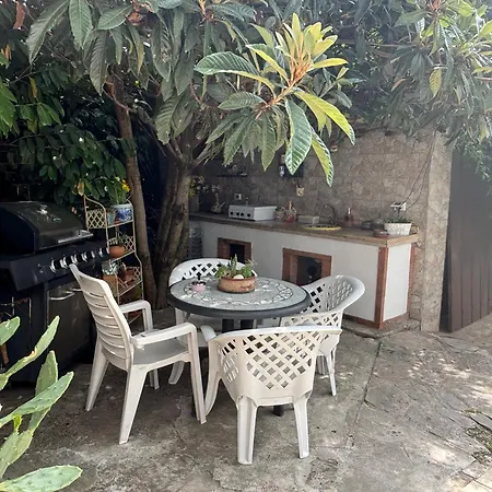 B&B Il Tulipano Free Private Parking-2