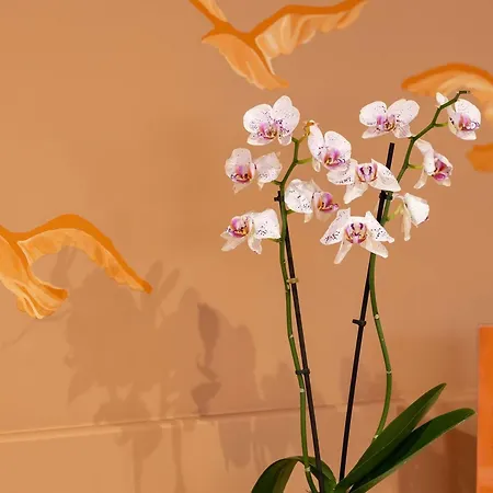 Ibis Styles Marseille Centre Prado Place Castellane-3