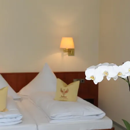 Hotel Gasthaus Adler-2