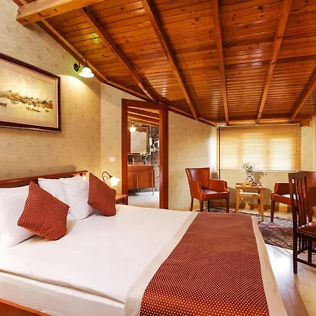 Hotel Erguvan - Special Category-3