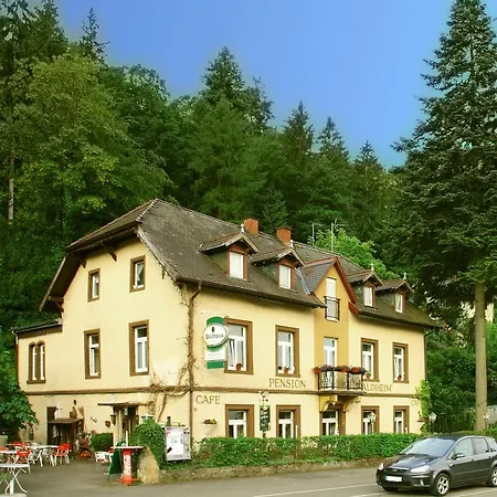 Pension Waldheim-3