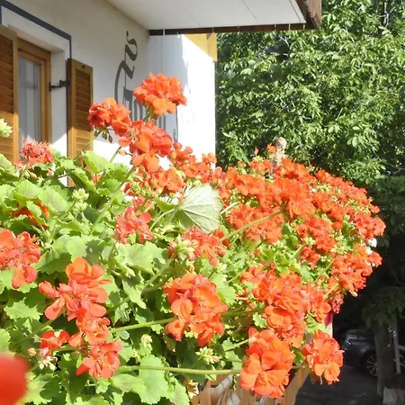 Garni Kofler-2