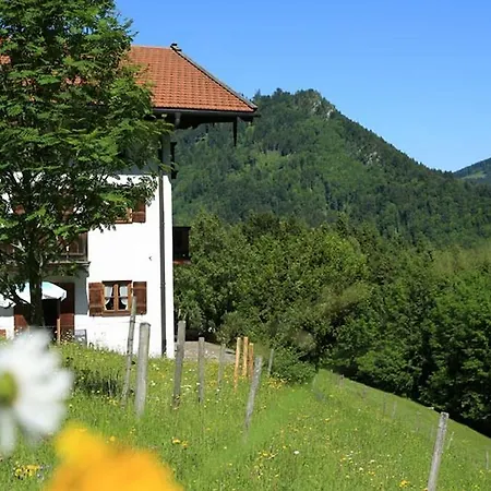 Berggasthaus Weingarten-2