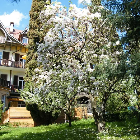 Hotel Angelica-3