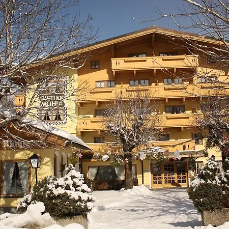 Hotel-Gasthof Zur Mühle-2