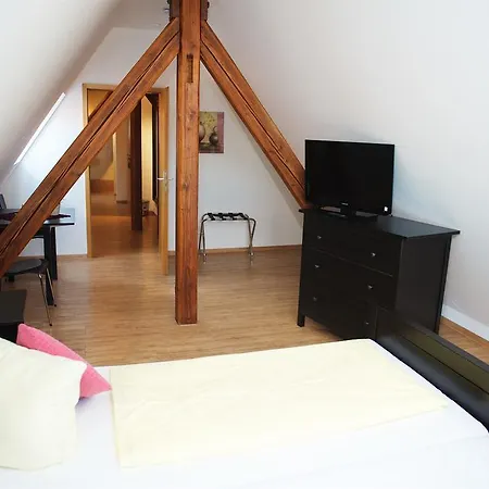 Berne's Altstadthotel-2