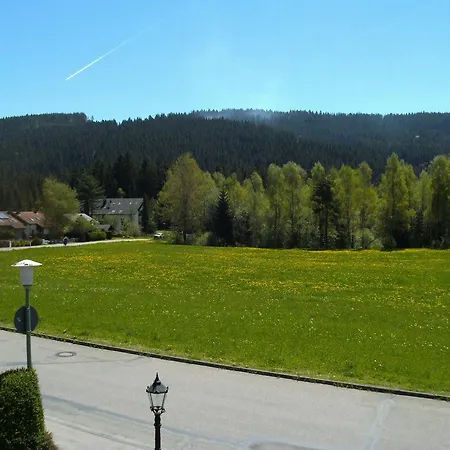 Hotel Rheingold Garni-3