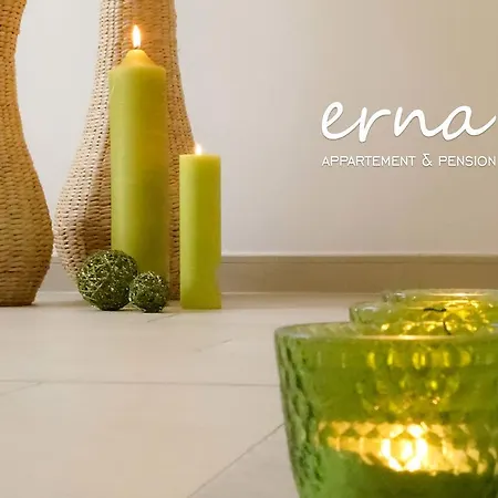 Pension Apartment Erna-2