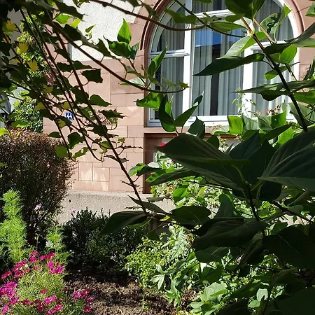 Hotel Robert Mayer-2