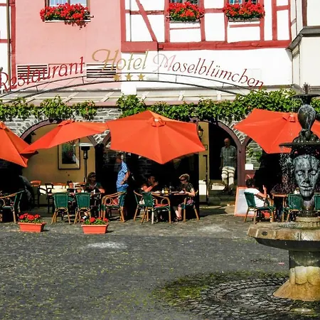 Hotel-Restaurant Moselblümchen-3