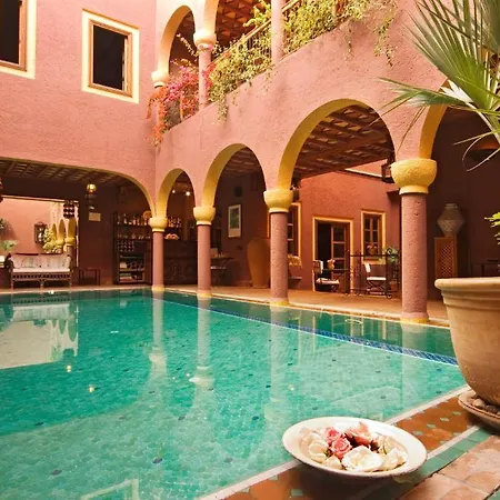 Riad Noga-2