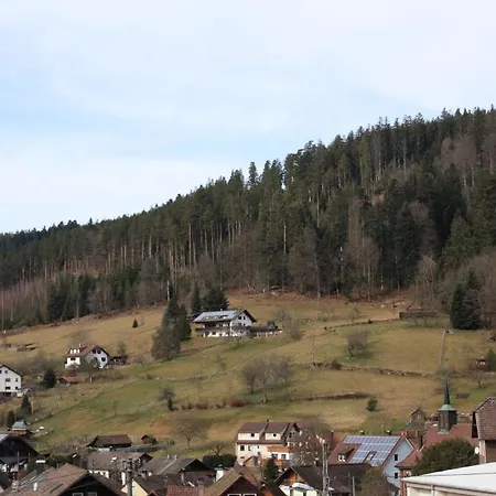 Schwarzwald-Gasthof Hirsch-2