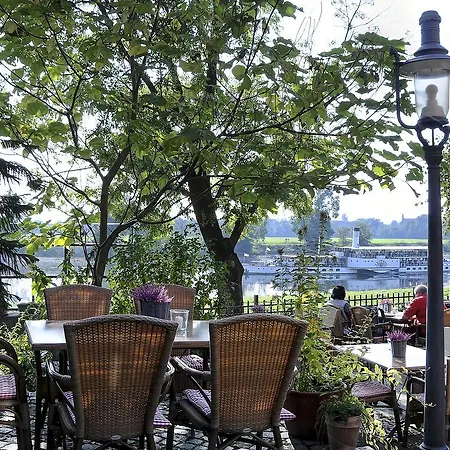 Elbterrasse Wachwitz-2
