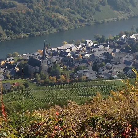 Hotel Springiersbacher-Hof-3