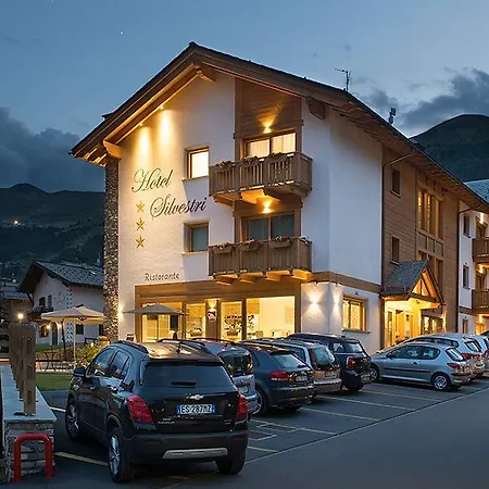 Hotel Silvestri-3