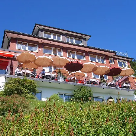 Hotel Bergsonne Rigi-2