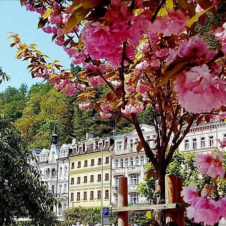 Boutique Hotel Corso-2