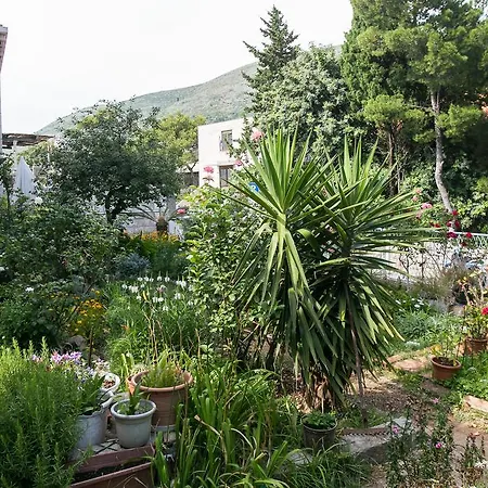 Yellow Room Guesthouse-2