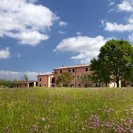 Tenuta San Giovanni Lucca-3