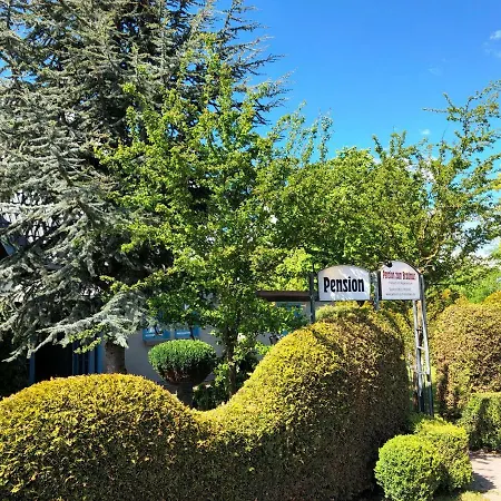 Pension zum Brauhaus-3