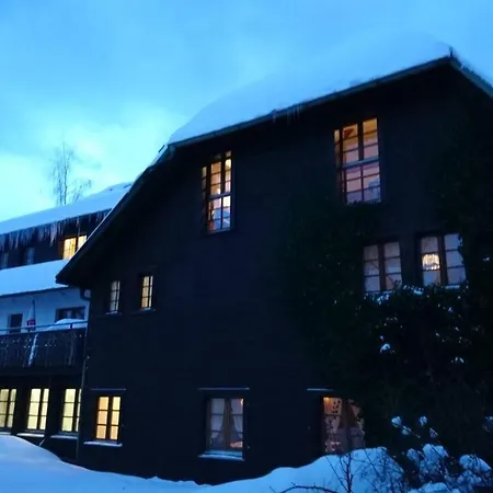 Hotel Maien-3