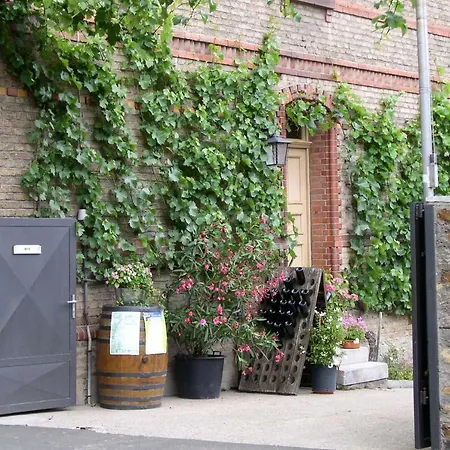 Weingut&Bioland Gästehaus Engelmann-Schlepper-3
