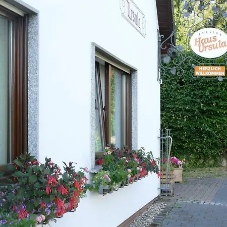 Pension Haus Ursula-2