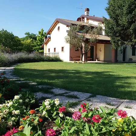 “Al Campo”-3