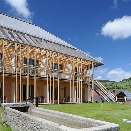 Natur&Wellnesshotel Breggers Schwanen - Bernau im Schwarzwald-3
